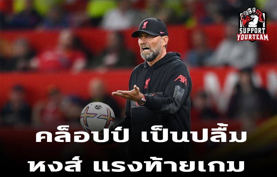ปกก